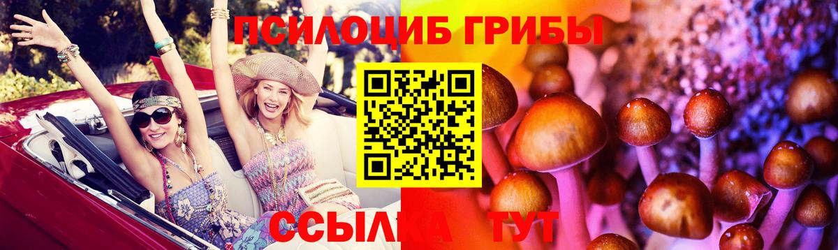 Беслан  Галлюциногенные грибы прущие грибы  Вход с VPN 